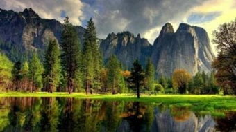 繁星流动——捕捉每个闪耀瞬间的专业摄像服务